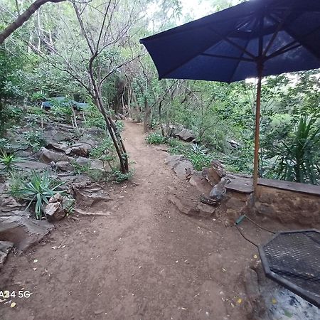 Adorable Unique Guest House - African Bush Feel Kalkheuvel エクステリア 写真