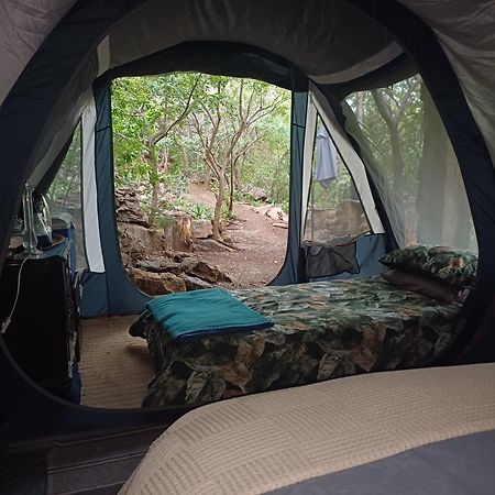 Adorable Unique Guest House - African Bush Feel Kalkheuvel エクステリア 写真
