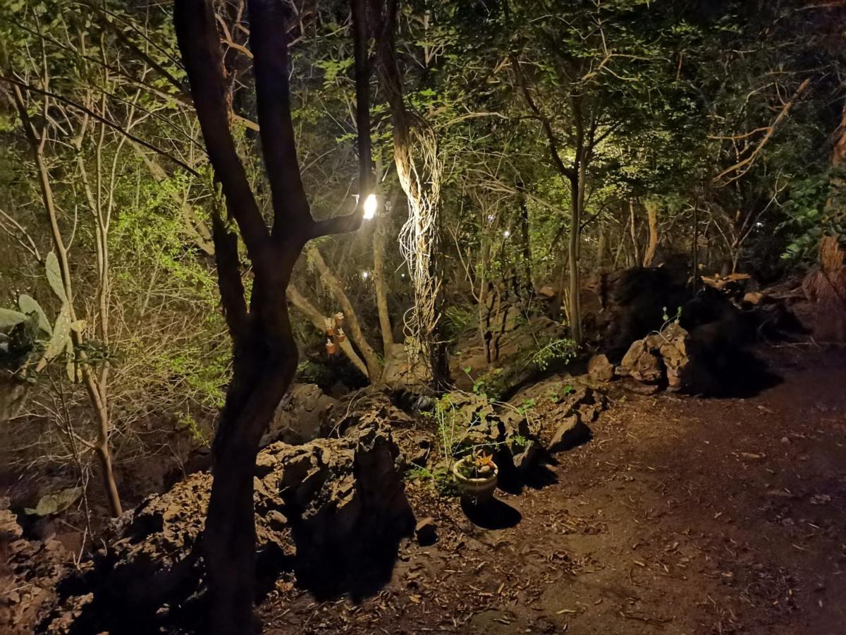 Adorable Unique Guest House - African Bush Feel Kalkheuvel エクステリア 写真