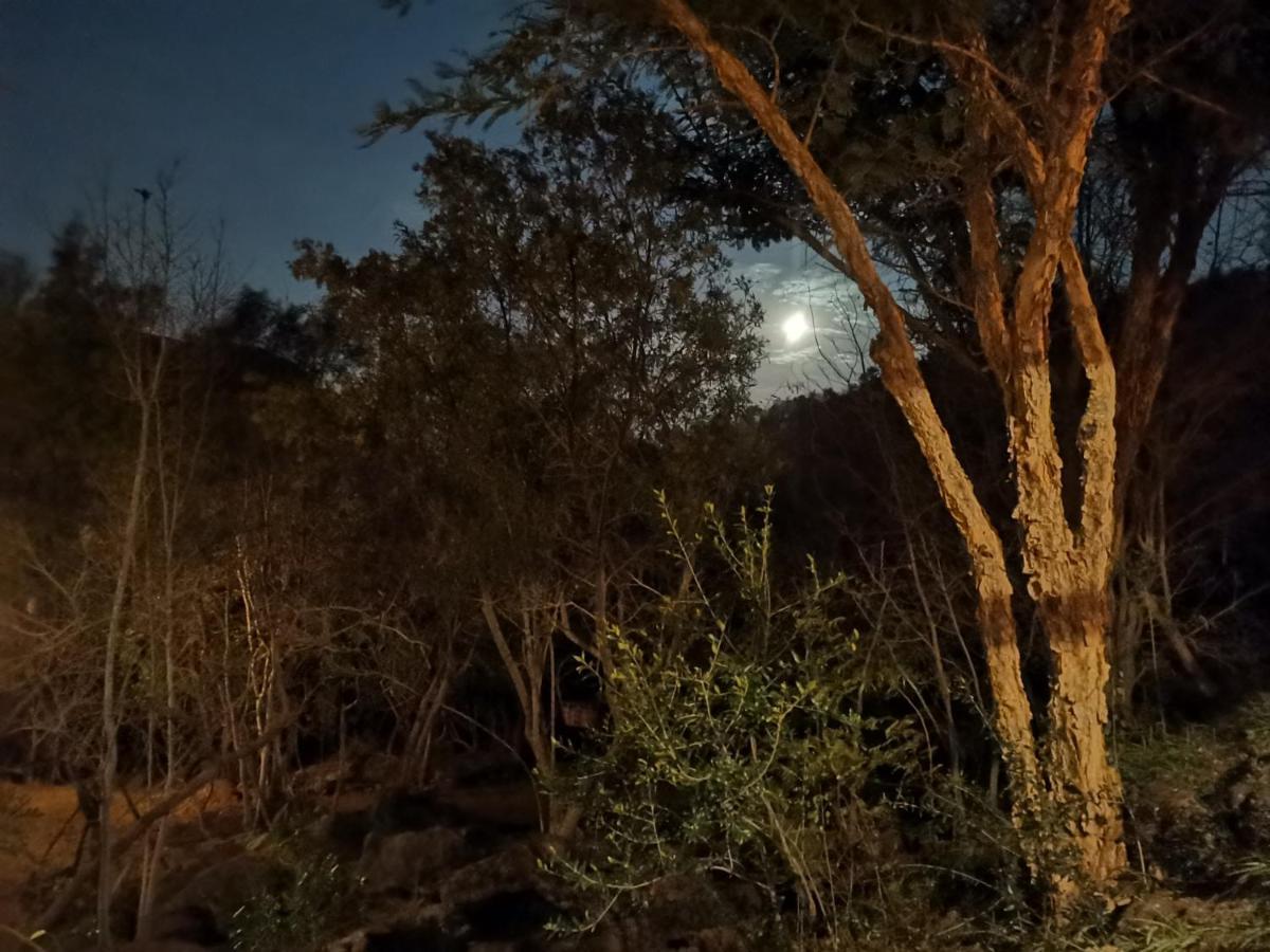 Adorable Unique Guest House - African Bush Feel Kalkheuvel エクステリア 写真