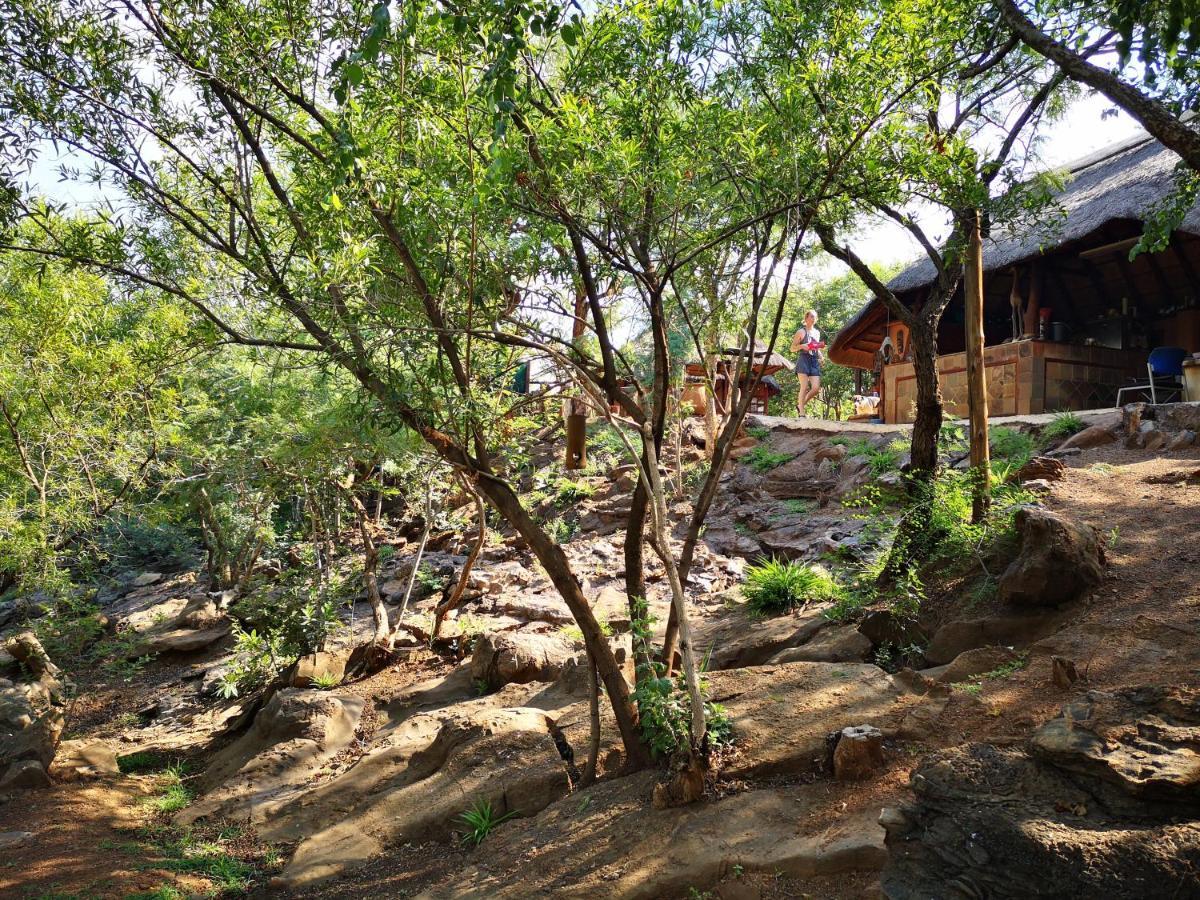 Adorable Unique Guest House - African Bush Feel Kalkheuvel エクステリア 写真