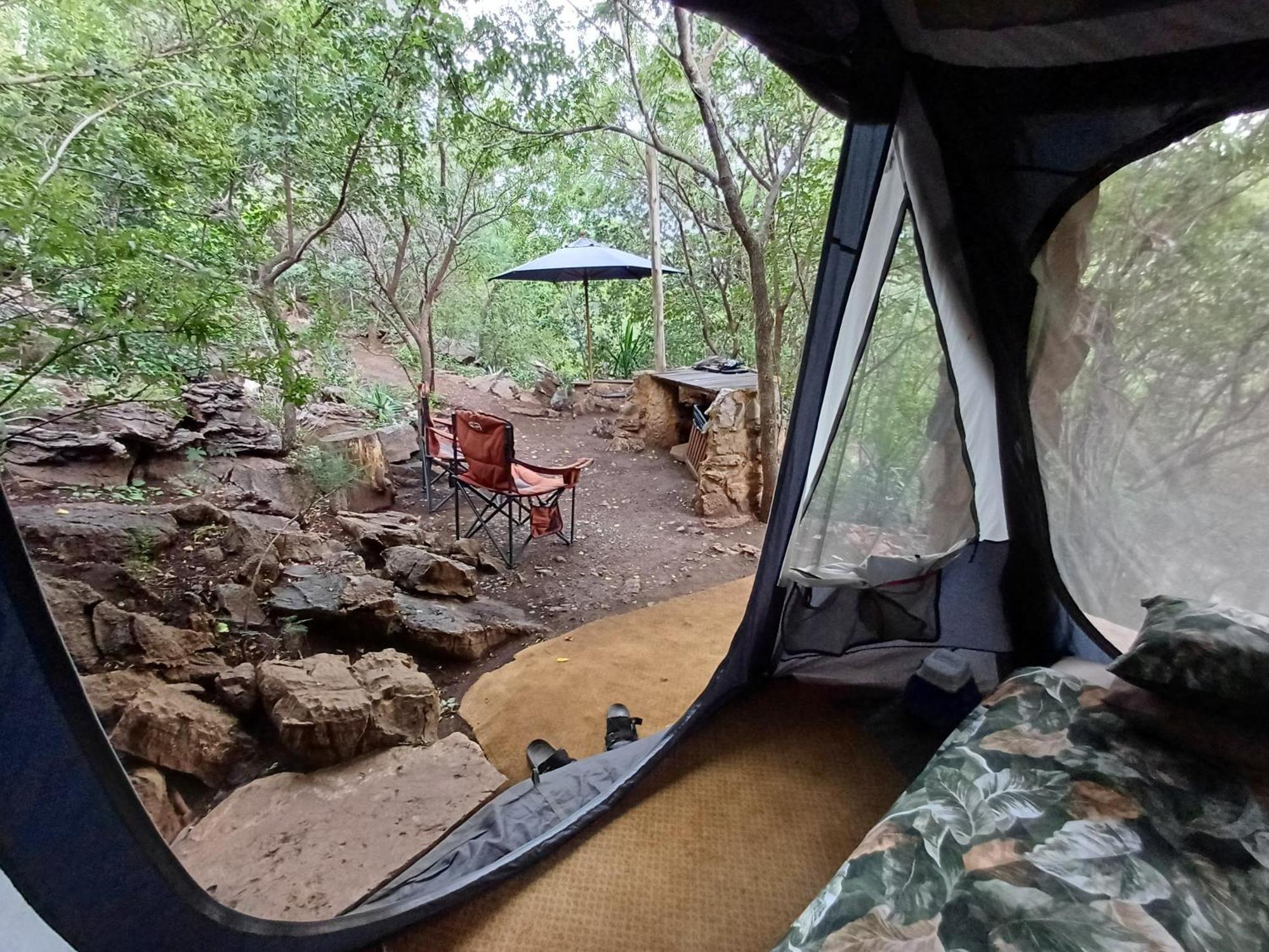 Adorable Unique Guest House - African Bush Feel Kalkheuvel エクステリア 写真