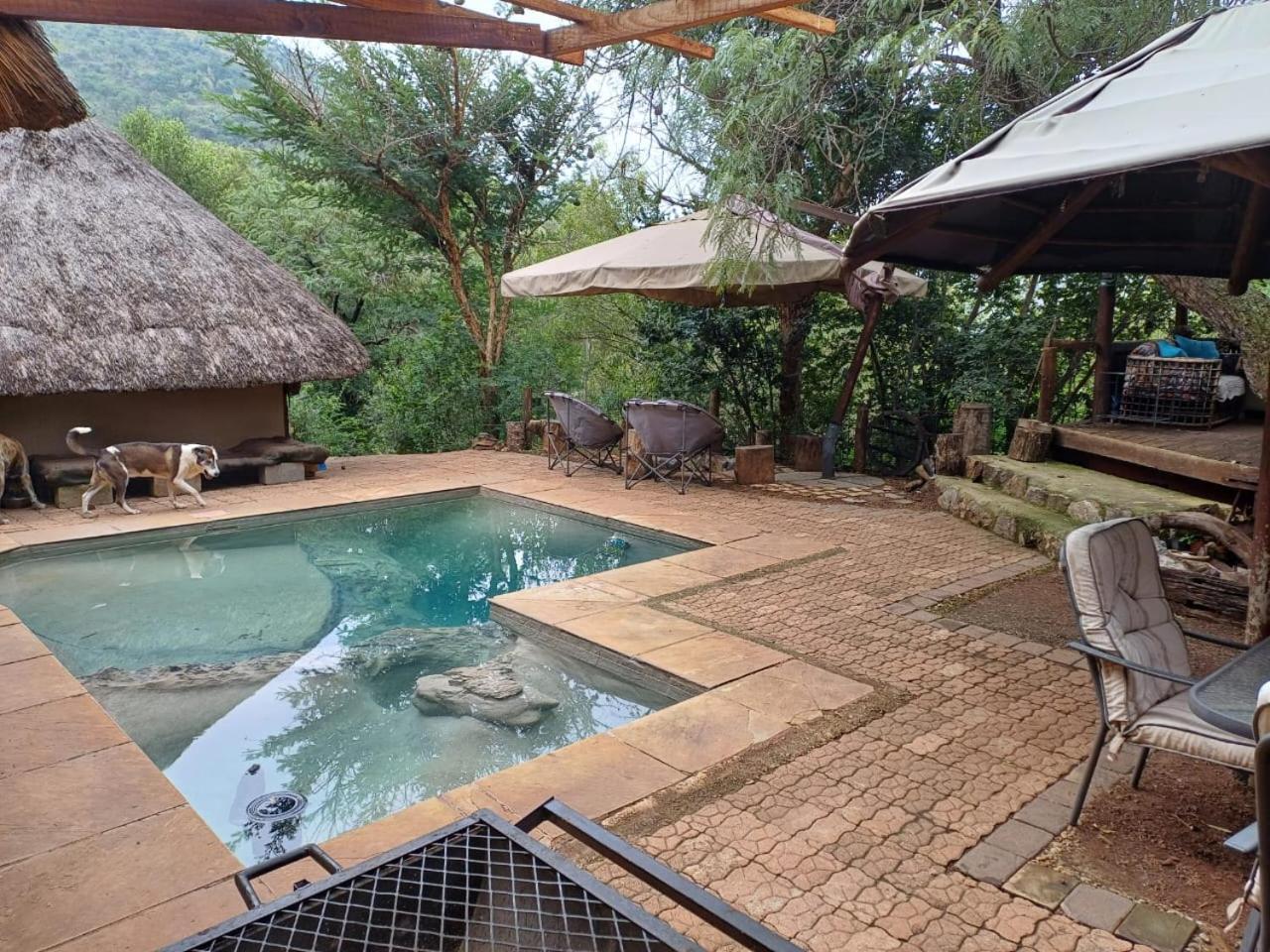 Adorable Unique Guest House - African Bush Feel Kalkheuvel エクステリア 写真