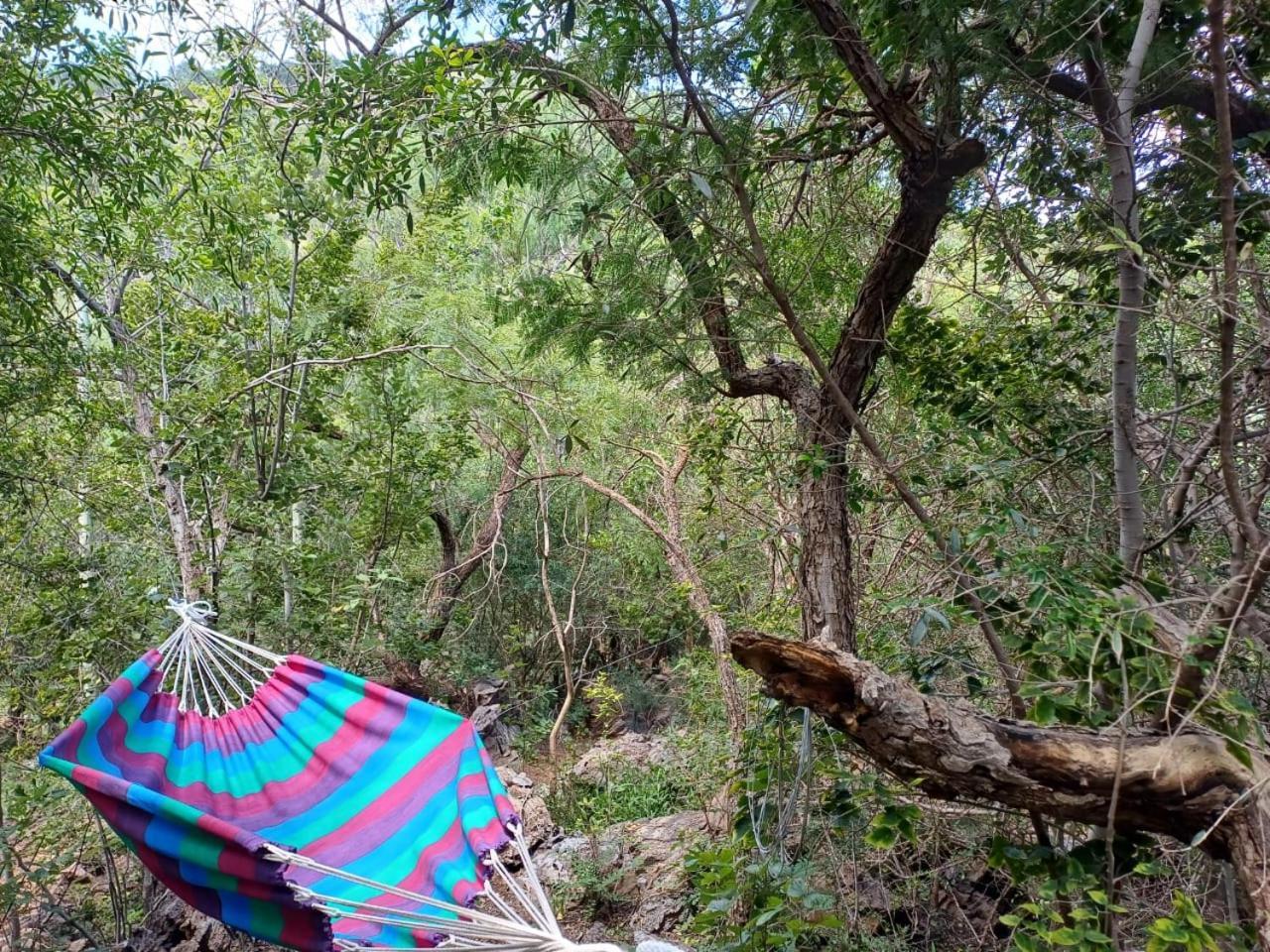 Adorable Unique Guest House - African Bush Feel Kalkheuvel エクステリア 写真